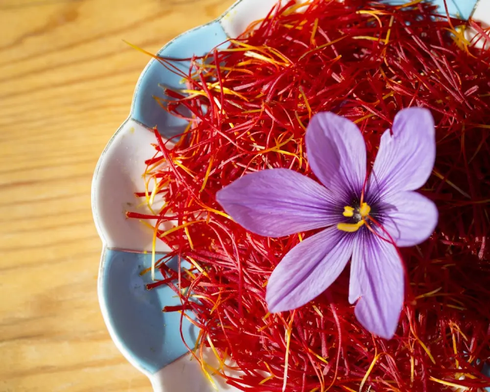 Saffron can improve memory, focus, and mood